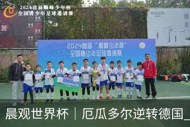 晨观世界杯｜厄瓜多尔逆转德国 库拉索止步小组赛