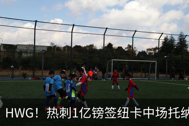 HWG！热刺1亿镑签纽卡中场托纳利 今夏1.85亿镑签2中场